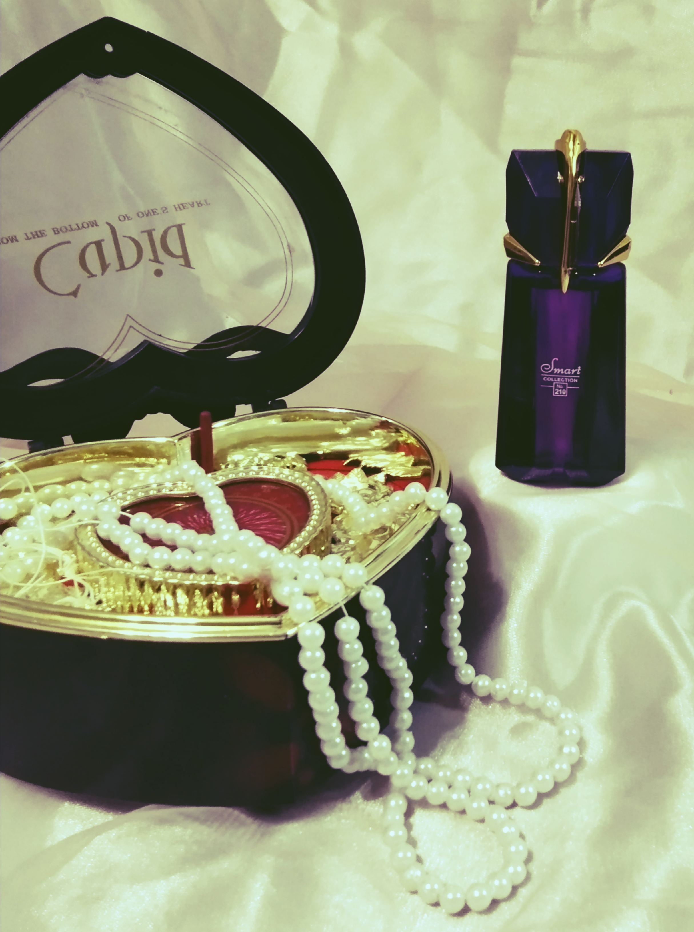 اسمارت کالکشن 25 میل کد 210 تیری موگلر آلین